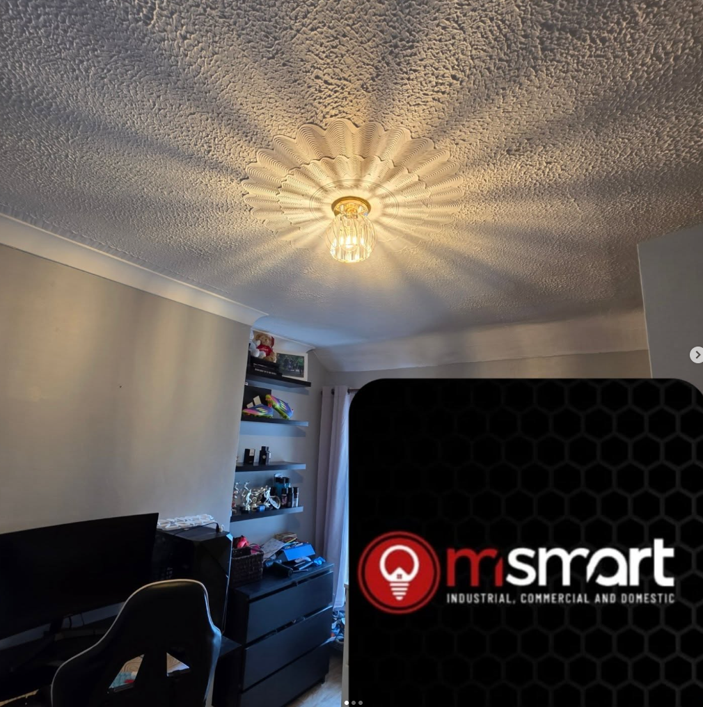 Feature ceiling lighting installation